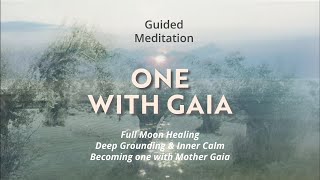 DEEP GROUNDING MEDITATION amp FULL MOON HEALING 💫 meditation oneness moon healing [upl. by Goltz]