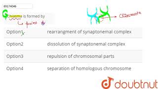 Chiasma is formed by [upl. by Kulda317]