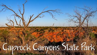 Caprock Canyons State Park Texas [upl. by Milburr]