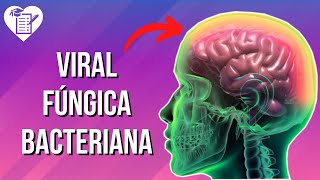 Webseminário  Meningites Bacterianas  Clínica tratamento e diagnóstico [upl. by Anitsirhc461]