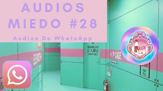 Audios Miedo 28 Dreamcore [upl. by Naej]