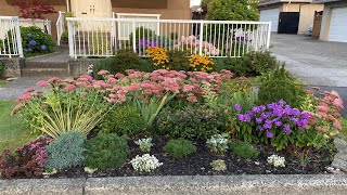 Garden Tour Boulevard Flower Bed 4K  September 1 2024 [upl. by Veneaux]