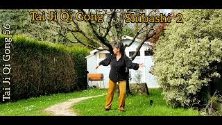 Tai Chi Qi Gong 18 mouvements Shibashi  set 2 [upl. by Edson]