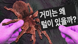 의외로 생존에 필수 요소라는 털 [upl. by Vidal132]