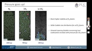 BR InterPore 2021  Porous Media amp Microfluidics [upl. by Nhaj]