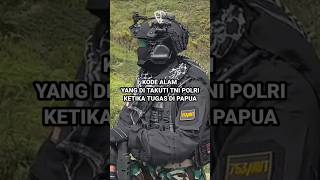 KODE ALAM YANG DI TAKUTI TNI POLRI KETIKA TUGAS DI PAPUA militer komando [upl. by Hsetirp]