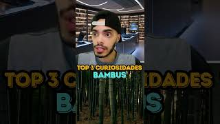 BAMBUS  TOP 3 CURIOSIDADES [upl. by Airlee]