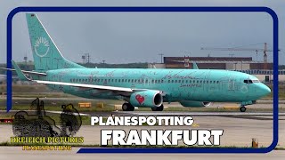 Planespotting Frankfurt Airport  August 2017  Teil 1 [upl. by Arada49]