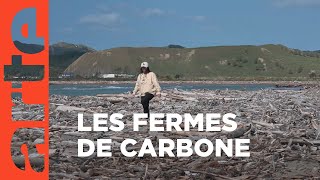 NouvelleZélande  les fermes carbone  ARTE Reportage [upl. by Dinnage]