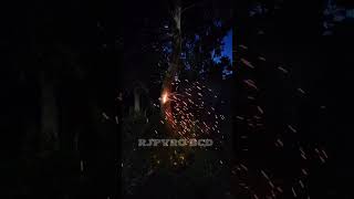 quotTrompillo smallquot by NATION Fireworks RJPYROBCD❤️ fireworks crackers pyro pyroaddicts rjpyro [upl. by Curley642]