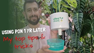 Lechuza Pon 1 Year Later  Learn from my mistakes  Growing Plants in Semi Hydro [upl. by Enitram]