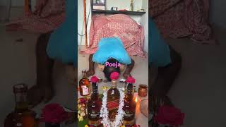 Whisky puja whiskey wine blenderspride redlabel reels shorts viralvideo viralshorts [upl. by Suirrad762]