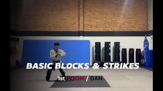 Block amp Strike for current 1 Dan  Poom black belt [upl. by Zednanreh]