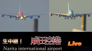 ✈️𓈒成田空港 📸 生中継 NRT【✈️𓈒Narita international airport 📸Live】【Gibson Narita】 [upl. by Ettigdirb]