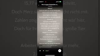 Merz gegen Mindestlohn  Song [upl. by Elaynad]