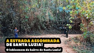 A ESTRADA ASSOMBRADA DE SANTA LUZIA  Mistérios da Roça [upl. by Icul766]