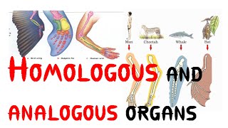 Homologous and analogous organs [upl. by Tatianna453]