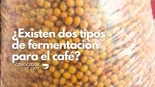 La fermentación del café antes de pasar a secado también puede ser para realzar su calidad sensorial [upl. by Fawn473]