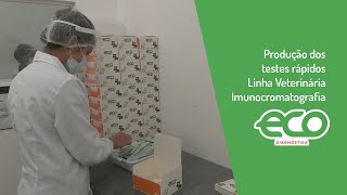 Produção dos testes rápidos Linha Veterinária Imunocromatografia [upl. by Adda]