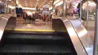 Otis Escalators At Belk SouthPark Mall In Charlotte NC [upl. by Keen]