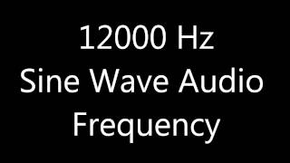 12000 Hz 12 kHz Sine Wave Sound Frequency Tone [upl. by Hareenum329]