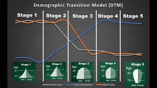 The Demographic Transition Model [upl. by Morell50]