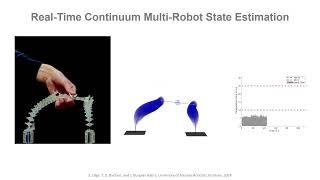 State Estimation for Continuum MultiRobot Systems on SE3 [upl. by Stoneman117]