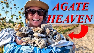 Agates EVERYWHERE Finding Heaps of Gorgeous Montana Agates Scattered Through the Hills [upl. by Rafiq]