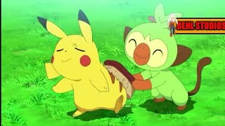 Grookeys cute momentspart 3 [upl. by Dorahs]