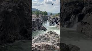 Hogenakkal waterfalls trending waterfalls tamilnadu travel naturalattractions trendingshorts [upl. by Donnelly]