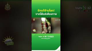 รักแท้ข้ามโลก ฝรั่งกลับมาดูแลเจดีย์เก็บอัฐิเมียทุกปี  ThairathTV [upl. by Asante]