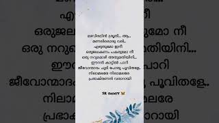 Nilamalare song lyrics lyrics status shorts malayalamsongs lyricsstatus viral [upl. by Kenwrick]