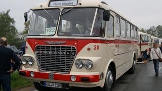 IKARUS 630 BUS Omnibus History Classic Diesel Motor LienienbusReisebus [upl. by Garda]