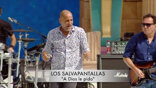 LOS SALVAPANTALLAS  A Dios le pido cover [upl. by Annawat]