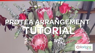 Coloríginz  Protea arrangement  tutorial [upl. by Appleton115]