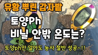 유황뿌린 감자밭 토양ph와 비닐안밖 온도는 토양ph측정은 농사에 중요합니다 [upl. by Bowden]