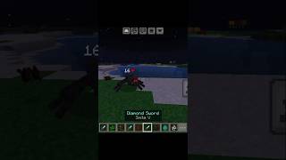 Swords enchantment facts  Minecraft  Hero op  minecraft heroop shorts [upl. by Allesig]