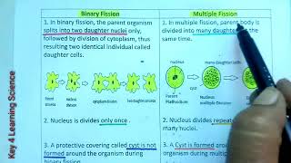 Q Difference between Binary fission and Multiple Fission  Asexual Reproduction  Class10 Science [upl. by Dalli]