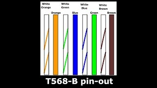 How To Replace RJ45 Network Patch Cable PLUG Cat5E DIY [upl. by Naesed]