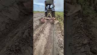 Ridging Plough Tool Working On Sweet Potatos Land [upl. by Kallick]