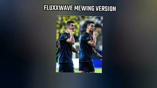 Clovis Reyes  Fluxxwave Mewing Version Edited TikTok Version Extended [upl. by Ardnot94]