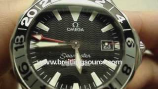 Omega Seamaster GMT Automatic Watch Review [upl. by Costin]