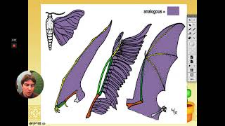 Biology  Homologous Analogous and Vestigial Structures [upl. by Gilda601]