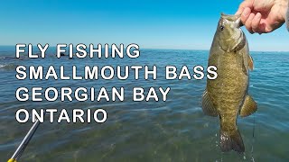 My go to Bass Fly Georgian Bay Smallmouth Bass [upl. by Alie]