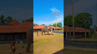 Chengannur Mahadeva Temple hindutemple elephant shivatemple [upl. by Jacquelin]