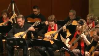 Orchestra mandolinistica di Lugano  Scott Joplin Bethena arr Mauro Pacchin [upl. by Drolet]