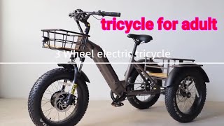 3 wheel electric Bike 20quotFat Tire electric trike tricycle for family uk wearhouse [upl. by Feldman9]