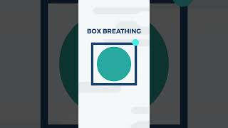 Box Breathing 4444  Paced Breathing  Dialectical Behavioral Therapy DBT  Distress Tolerance [upl. by Novaj]