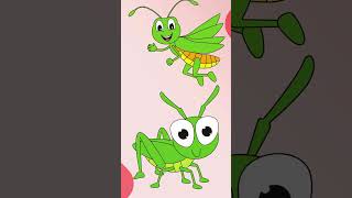 Insect names for kids  GRASSHOPPER  Bugs name  InsectsBugs name in English Learning insects [upl. by Tena]