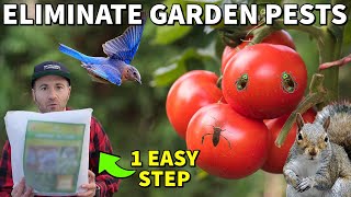 This One Easy Step Prevents 95 Of Pests In Your Garden All Year [upl. by Refitsirhc811]